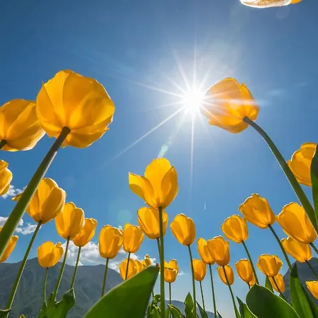 Apartamento Riscossa *